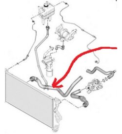 OmegaSpareParts.com Gallery Image /wc_1200x900/10463_1.jpg